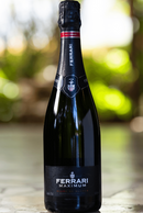 Espumante Ferrari Maximum Blanc de Blancs - Extra Brut Trento DOC