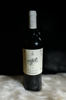 Agave - Chardonnay